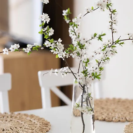 Boho Apartamento *