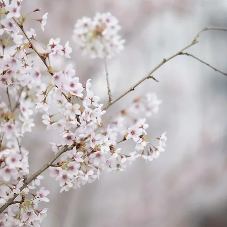 Lägenhet Boho Gdańsk