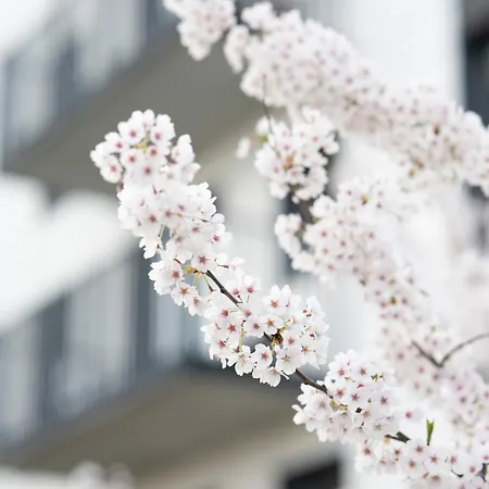 Boho Lägenhet Gdańsk