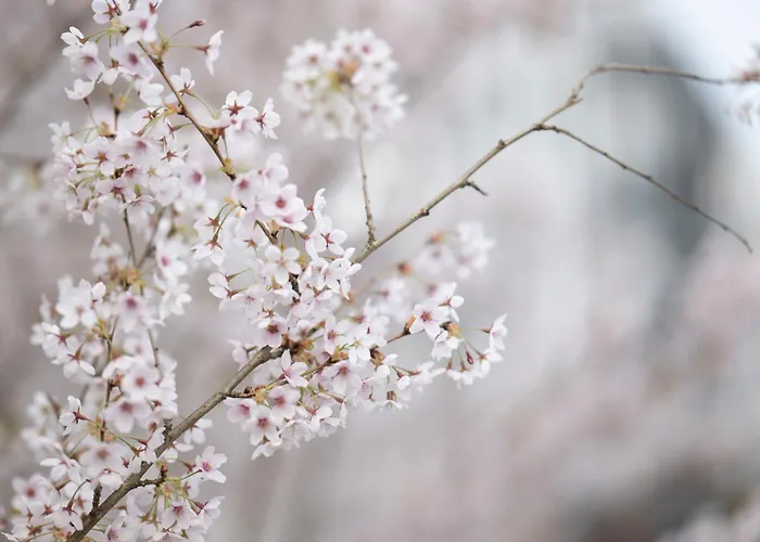 Apartmán Boho Gdaňsk