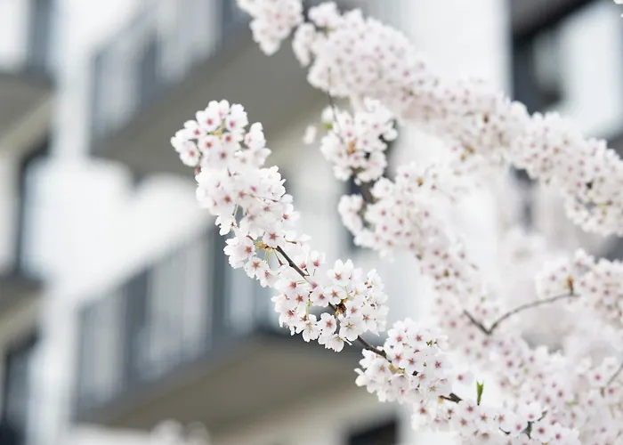 Boho Apartmán Gdaňsk